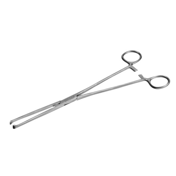 Rocialle Allis Tissue Forceps, 4:5 25cm - x 1