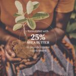 L'Occitane 25% Shea Butter Intensive Hand Balm 150ml - Image 6