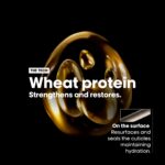 L'Oreal Professionnel Serie Expert Absolut Repair Protein + Gold Quinoa Instant Resurfacing Conditioner 200ml - Image 2