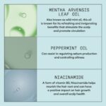 Nioxin Scalp Recovery Anti-Dandruff 3-Step System Kit - Image 3