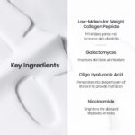 Biodance Collagen Real Deep Mask Pack 4 x 34g - Image 5