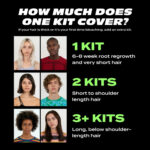 Bleach London Fade To Grey Charcoal Grey Toner Kit - Image 6
