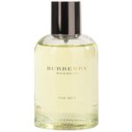 Burberry Weekend Men Eau De Toilette 100ml - Image 2