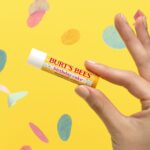 Burt's Bees Lip Balm Birthday Cake Tube 4.25g