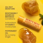 Burt's Bees Limited Edition Fruit Mix Lip Balm Gift Set 4 x 4.25g - Image 5