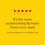 Burt's Bees Limited Edition Festive Fix Lip Balm Gift Set 4 x 4.25g - Image 7