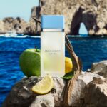 Dolce & Gabbana Light Blue Eau De Toilette 30ml - Image 4