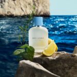 Dolce & Gabbana Light Blue Pour Homme Eau De Toilette 100ml - Image 7