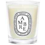 Diptyque Ambre Small Jar Candle 70g - Image 3
