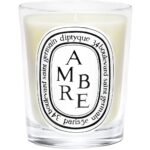 Diptyque Ambre Classic Jar Candle 190g - Image 2
