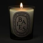 Diptyque Baies Classic Jar Candle 190g - Image 2