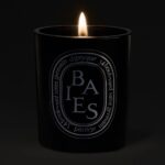 Diptyque Baies Black Medium Jar Candle 300g - Image 2