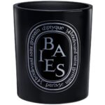 Diptyque Baies Black Medium Jar Candle 300g