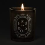 Diptyque Feu de Bois Medium Jar Candle 300g - Image 2