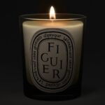 Diptyque Figuier Classic Jar Candle 190g