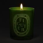 Diptyque Figuier Green Medium Jar Candle 300g - Image 2