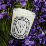 Diptyque Violette Classic Jar Candle 190g - Image 3