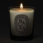 Diptyque Baies Small Jar Candle 70g