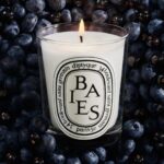 Diptyque Baies Small Jar Candle 70g - Image 2