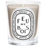 Diptyque Feu de Bois Small Jar Candle 70g - Image 3