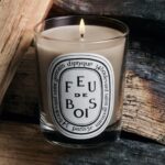 Diptyque Feu de Bois Small Jar Candle 70g - Image 2
