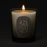 Diptyque Figuier Small Jar Candle 70g - Image 2