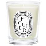 Diptyque Figuier Small Jar Candle 70g