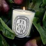 Diptyque Figuier Small Jar Candle 70g - Image 3