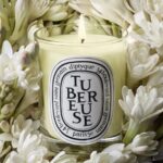 Diptyque Tubereuse Small Jar Candle 70g - Image 2