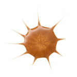 Essence Drop of Sunshine Bronzing Drops 25ml - Image 2