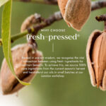 Fushi Organic Fresh-Pressed Sweet Almond Oil 100ml - Image 4