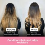 FUL Reset Repair Shampoo 250ml - Image 3