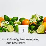Fussy Tropic Tonic Refillable Deodorant 40g - Image 2