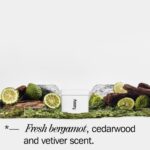 Fussy Wilderness Deodorant Refill 40g - Image 2