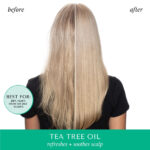 Hask Tea Tree Oil Invigorating Shampoo 355ml - Image 6