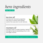 Hask Tea Tree Oil Invigorating Shampoo 355ml - Image 8