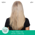 Hask Tea Tree Oil Invigorating Conditioner 355ml - Image 5