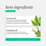 Hask Tea Tree Oil Invigorating Conditioner 355ml - Image 4