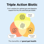Healthspan Triple Action Biotic 60 Capsules - Image 7