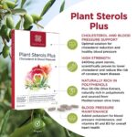Healthspan Plant Sterols Plus 800mg Plant Sterols for Cholesterol & Blood Pressure 28 Day Supply - Image 2