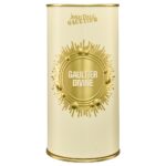 Jean Paul Gaultier Gaultier Divine Eau De Parfum 100ml - Image 2