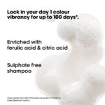L'Oreal Professionnel Serie Expert Vitamino Colour Spectrum Shampoo Refill Pouch 500ml - Image 3