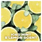 Lynx XXL Ice Chill 72h Iced Mint & Lemon Anti-Perspirant Deodorant Spray 250ml - Image 5