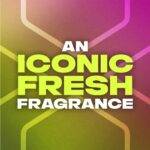 Lynx Epic Fresh 48h Grapefruit & Tropical Pineapple Anti-Perspirant Deodorant Roll-On 50ml - Image 2