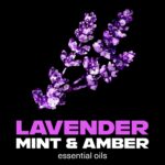 Lynx Fine Fragrance 72h Blue Lavender Mint & Amber Premium Deodorant Body Spray 35ml - Image 7