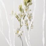 Maison Margiela Mutiny Eau De Parfum 90ml - Image 2