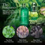 Molton Brown Wild Mint & Lavandin Bath & Shower Gel 300ml - Image 4