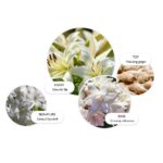 Molton Brown Heavenly Gingerlily Eau De Parfum 100ml