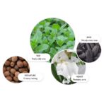 Molton Brown Wild Mint & Lavandin Eau De Parfum 100ml - Image 3