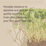 Mixsoon Centella Cleansing Foam 150ml - Image 4